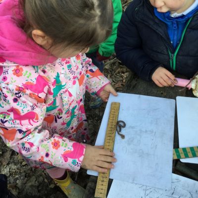 Year 1 - Forest School measuring (1)